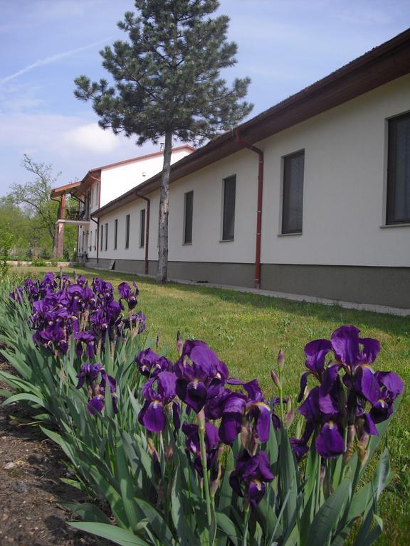 Anna Panzio Hotell Dunavarsány Exteriör bild